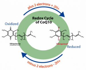 Ubiquinol