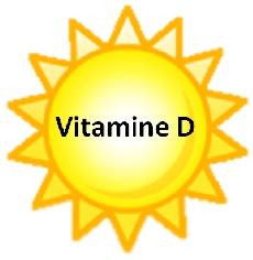 Vitamine D