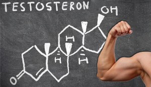 Testosteron