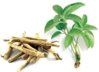 Ashwagandha lijkt veilig bij langdurig gebruik