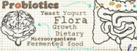 Probiotica verbeteren cognitie bij Alzheimer