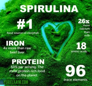 spirulina