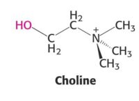 Choline wordt als vitamine erkend