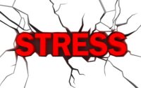 Studie: combinatiesupplement effectief bij acute stress