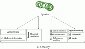 Spirulina