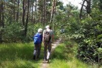 5 keer per week 30 minuten wandelen maakt je 7 jaar jonger