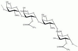 Fucoidan