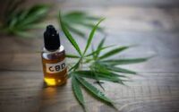 CBD-olie versnelt herstel na zware benentraining