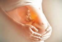 IJzerstatus zwangere vrouw en ontwikkeling van het kind