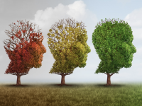 Wat zeggen bloedwaarden over het ontwikkelen van de ziekte van Alzheimer?