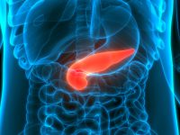 Vitamine K1 beschermt tegen pancreaskanker