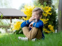 Fytosomale quercetine werkzaam bij hooikoorts