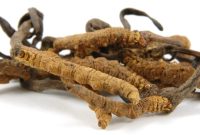 Wat gebeurt er als marathonlopers Cordyceps sinensis gaan gebruiken?