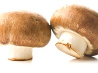 Bij artritis houden champignons het immuunsysteem in toom
