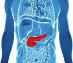 Pancreas