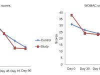 Curcumine even effectief als ibuprofen bij pijn door knieosteoartritis