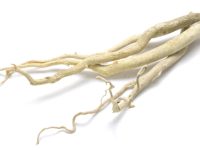 Tongkat Ali helpt hypogonadale mannen, concludeert metastudie