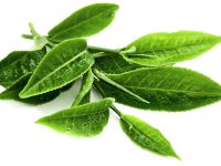 Voor krachtsporters is groene thee een beetje anabool