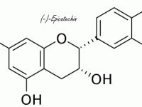 In cacao zit een duursportdrug