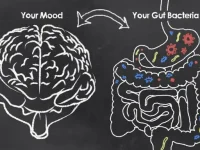 Probiotica verbeteren stemming bij gebruik van antidepressiva