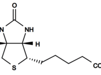 Is biotine een voel-je-goed-vitamine?