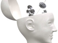 Student haalt betere cijfers door krachttraining