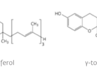 Delta-tocoferol betere vitamine E-vorm voor patiënten met leververvetting