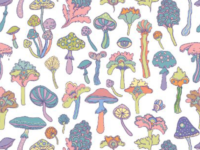 Psilocybine is effectief tegen alcoholverslaving