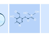 Hoge dosis B6 vermindert depressie en angst