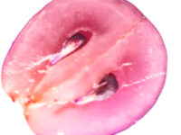 Grape Seed Extract beschermt lever tegen vervetting