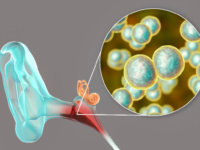 Natuurlijke oplossing voor oorontsteking bij kinderen