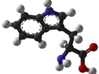 Tryptofaan brengt intervaltraining op hoger niveau