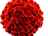 Verkouden? Rustig doortrainen kan prima