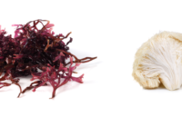 Combinatie algen en paddenstoelen veelbelovend?