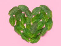 Citroenmelisse goed tegen overslaand hart