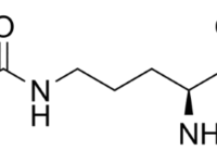 Minder spierpijn en vermoeidheid na explosieve training dankzij citrulline