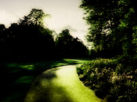 Stadsbewoner leeft langer in een groene wijk