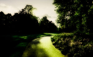 Groene wijk