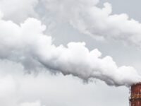 Luchtverontreiniging nadelig voor darmmicrobiota zuigelingen?