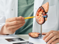 Insulineresistentie voorspellend voor risico op nierstenen