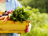 Gezonde voeding verhoogt vruchtbaarheid