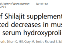 Shilajit maakt alleen sterke sporters sterker