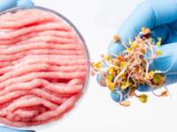 Mineralen uit vleesvervangers slecht opgenomen