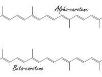 Meer alpha-caroteen, meer spierkracht