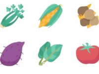 Fermenteerbare vezels bloeddrukverlagend