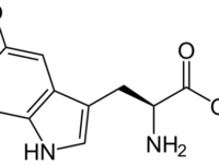 Diabeten eten fors minder door suppletie met 5HTP