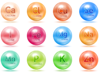 Mineralen essentieel voor de mitochondriale functie