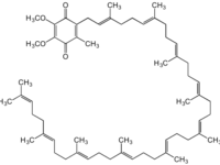 Q10-suppletie maakt explosieve bewegingen een beetje sneller