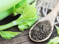 Selderijzaadextract verlaagt hoge bloeddruk