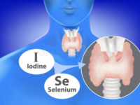 Jodium en selenium: synergie en optimale inname